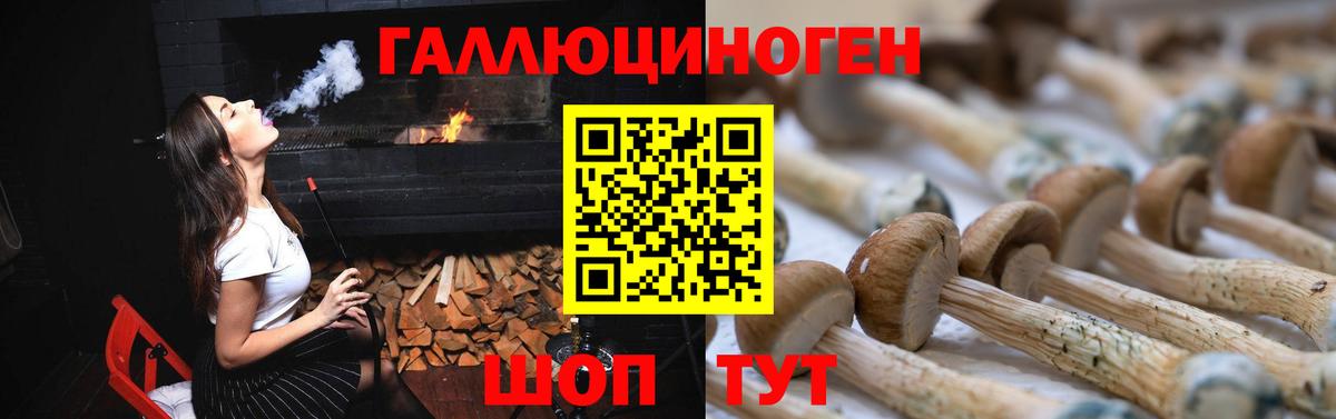 Псилоцибиновые грибы GOLDEN TEACHER Гурьевск