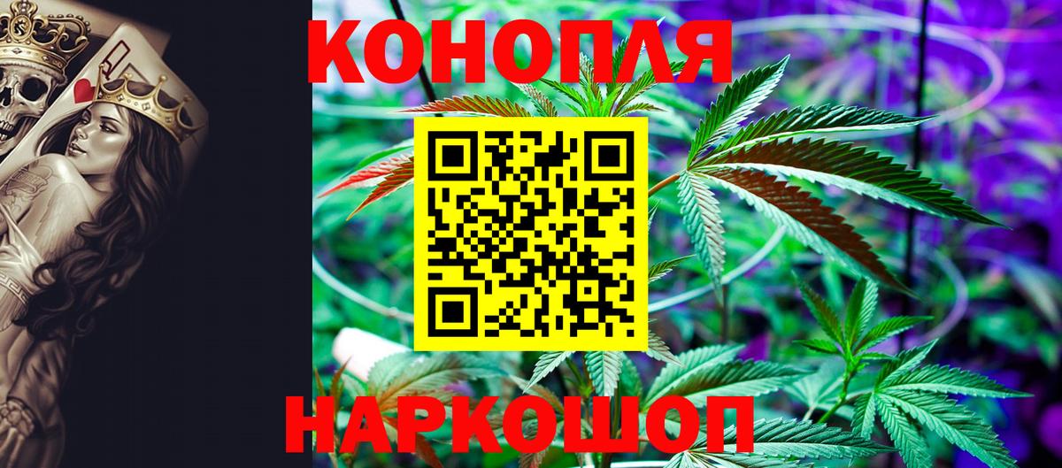 Шишки марихуана план  Бошки марихуана конопля  Гурьевск  Марихуана Amnesia  Канабис LSD WEED  Вход с VPN 